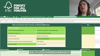 FSC Risk Assessment Template Tutorial 2: Reference Tabs (Chinese captions)