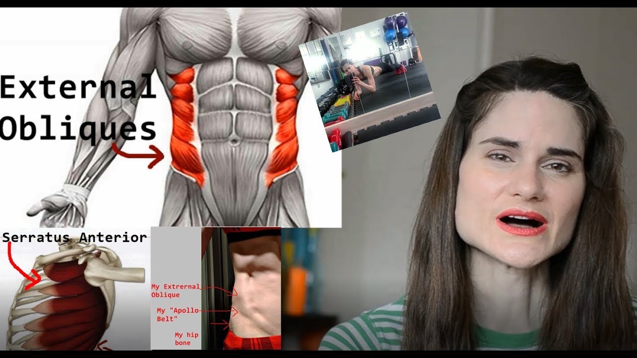 Everything about: External Oblique & Serratus Anterior - YouTube