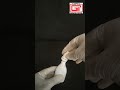 Video Image