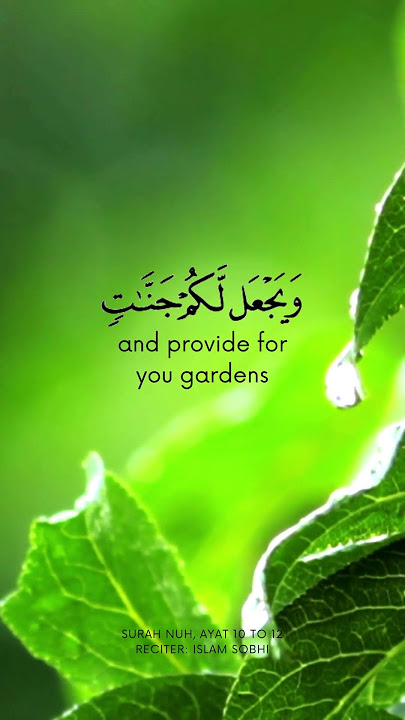 Surah Nuh, ayat 10 to 12
