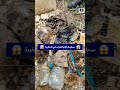 شاهد الكميات الهائلة من السـحر التي تم العثور عليها في مـ ـقابر سطيف لن تصدقوا