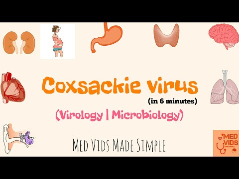 Coxsackie virusas | Mikrobiologija | Med Vids Made Simple