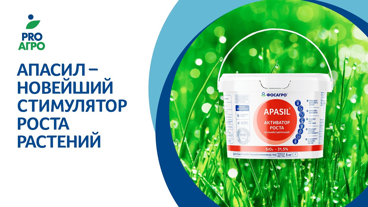 ApaSil – новейший стимулятор роста растений. - YouTube