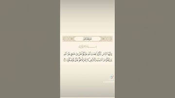 القران الكريم#اللهم_صل_وسلم_على_نبينا_ محمد#القران #الراحة #النفسية