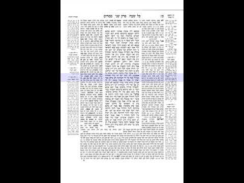 פסחים  דף מא