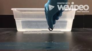 Shape memory polymer   shape 1