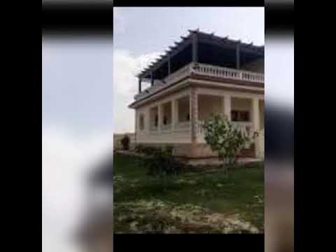 ياسين التهامي 2021
