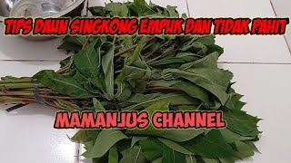 Tips Memasak Daun Singkong empuk dan Tidak Pahit Mamanjus Channel