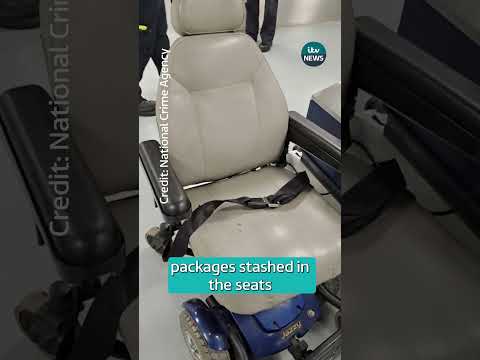 Border Force officers