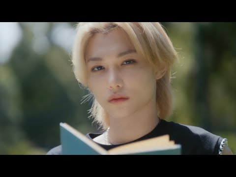 Stray Kids FNF But Only Felix's Lines