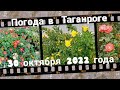 Погода в Таганроге Дом на юге 30.10.2022 // Weather in Taganrog House in the south