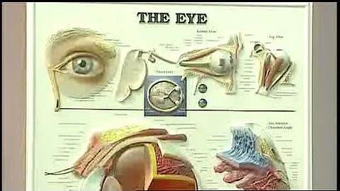 Mass Appeal Improve your overall eye care health