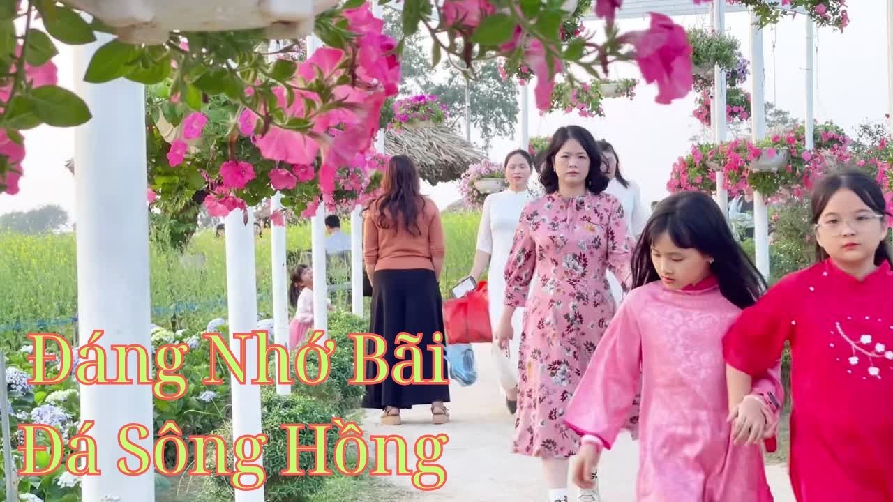 Bãi Đá Sông Hồng Thiên Đường Check-in Giữa Lòng Hà Nội