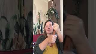 Lesson 3 flute second grade