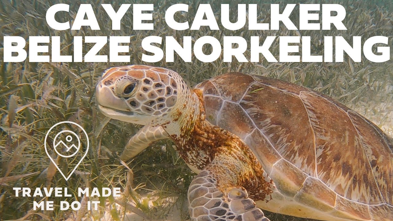 Кей-Кокер, Белиз: снорклинг в морском заповеднике Хол-Чан и на Аллее акул-скатов