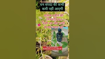 शमी पत्र उपाय करें धन संपदा की कमी नहीं होगी  #upay #ytshorts #pujyapanditpradeepmishra #viral reel