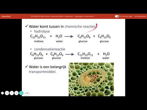 water in organismen