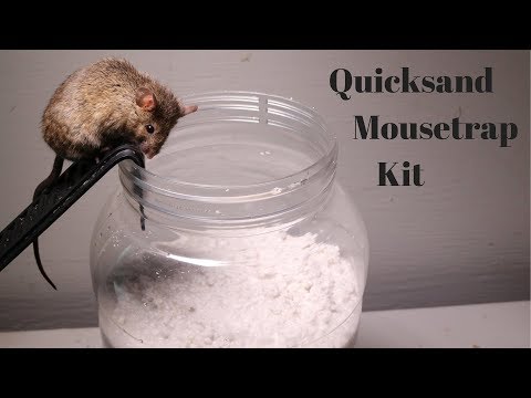 Testing Out The Quicksand Mouse Trap Kit Sold On Amazon.'s Avatar