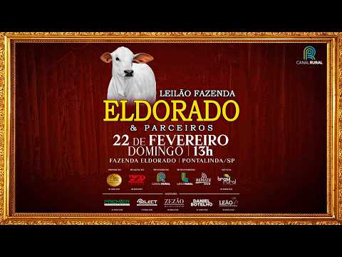 LOTE 135   CGAL 3463,3529 1