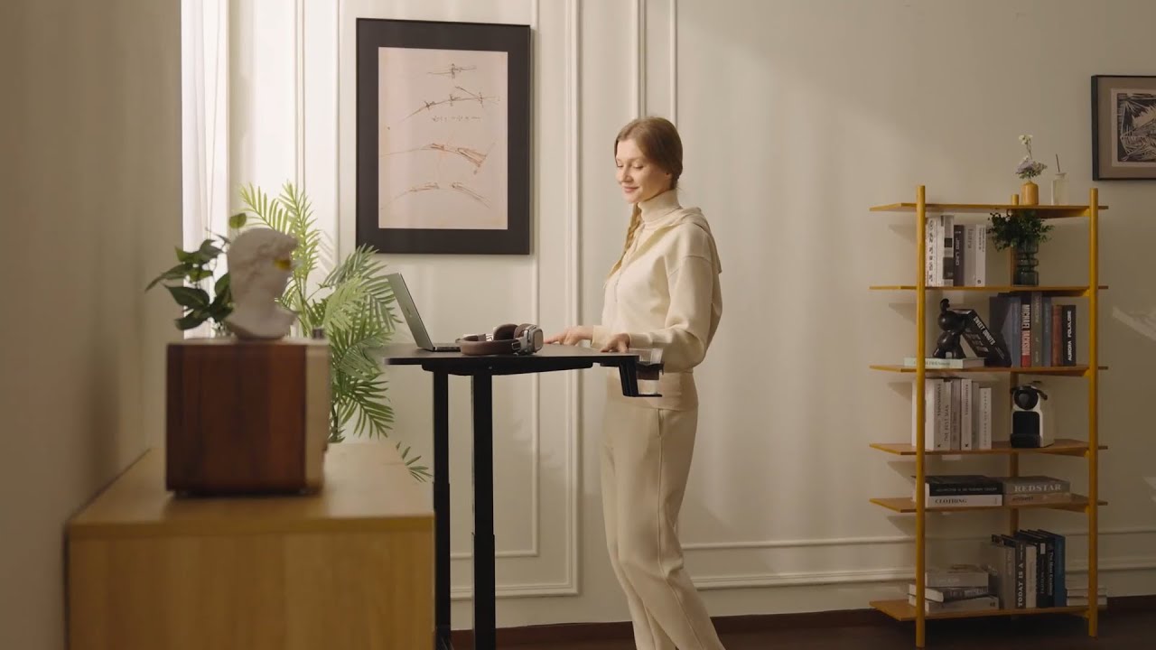 FlexiSpot H7 Axis Gas Spring Lift Standing Desk