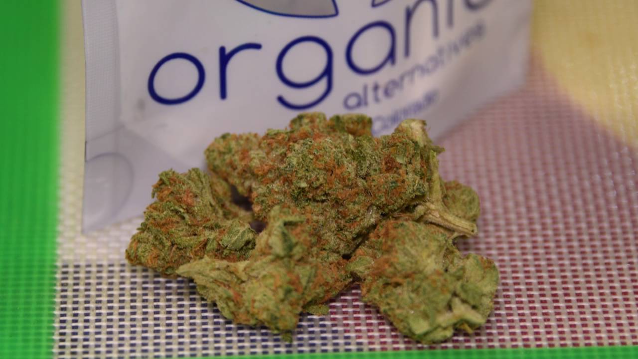 Puffin' with Paul- Soul Train