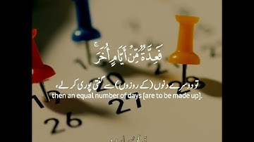 ⏳أياما معدودات✨سورة البقرة:١٨٤|شريف مصطفى||Surah al Baqarah:184|Sherif Mostafa