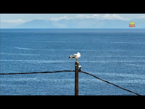 Βρυσάκι.Το εκπληκτικής ομορφιάς ανατολικότερο άκρο της Αττικής με την απέραντη θέα στο Αιγαίο.