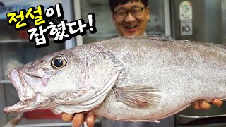 A legendary deep-sea fish that even fishermen have never seen before, sawedged perch!