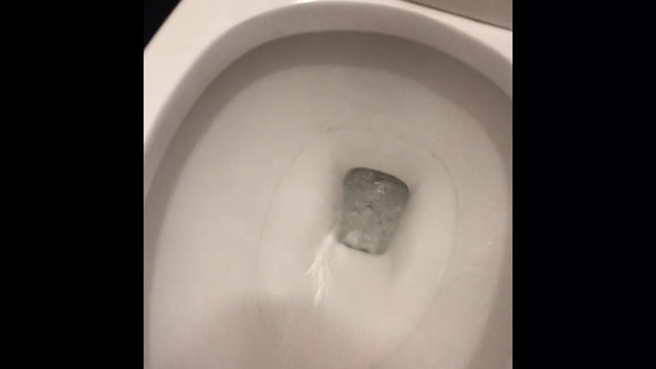 Clean the ring out of your toilet. - YouTube