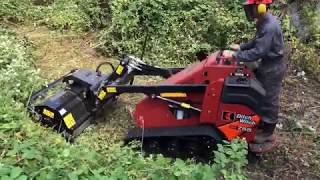 Porteurs Multi-Outils Sk Ditch Witch - Élagage