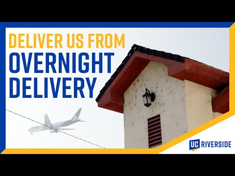St. Marks and the Plight of a Supply Chain Community