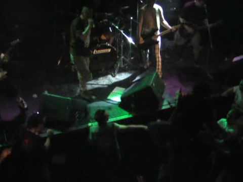 video phone beyonce mp3 Genetic Control Love Rat