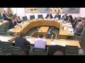 Jacob Rees-Mogg MP Questions Arron Banks and Richard Tice at the TSC