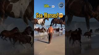 6 Reasons to Visit Maryland, USA 🇺🇸 Before You Die 💀