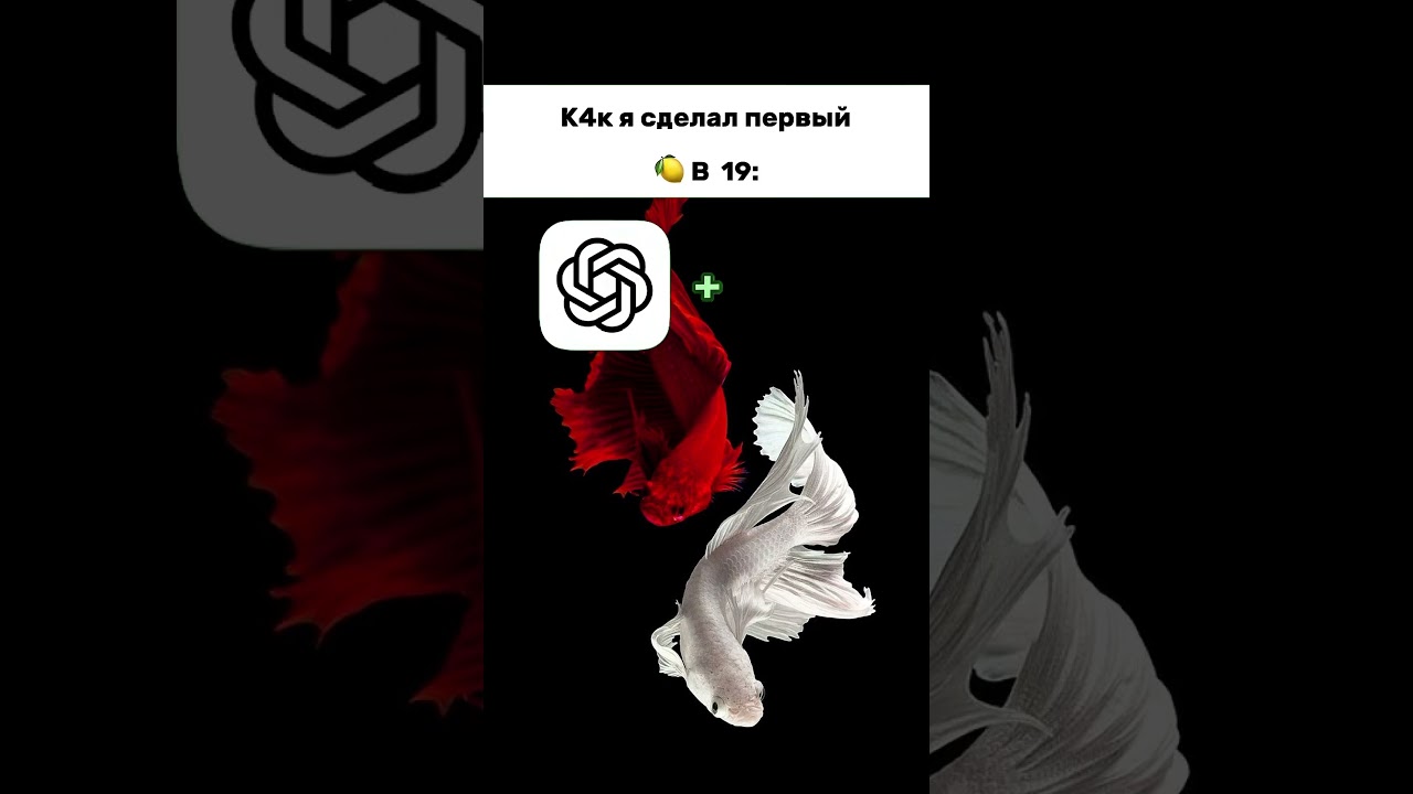 СХЕМА ИГРЫ В ПРОФИЛЕ 