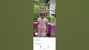 How to view Google 3D Animals in your mobile / AR Feature / Google 3d animals / #3d / #google