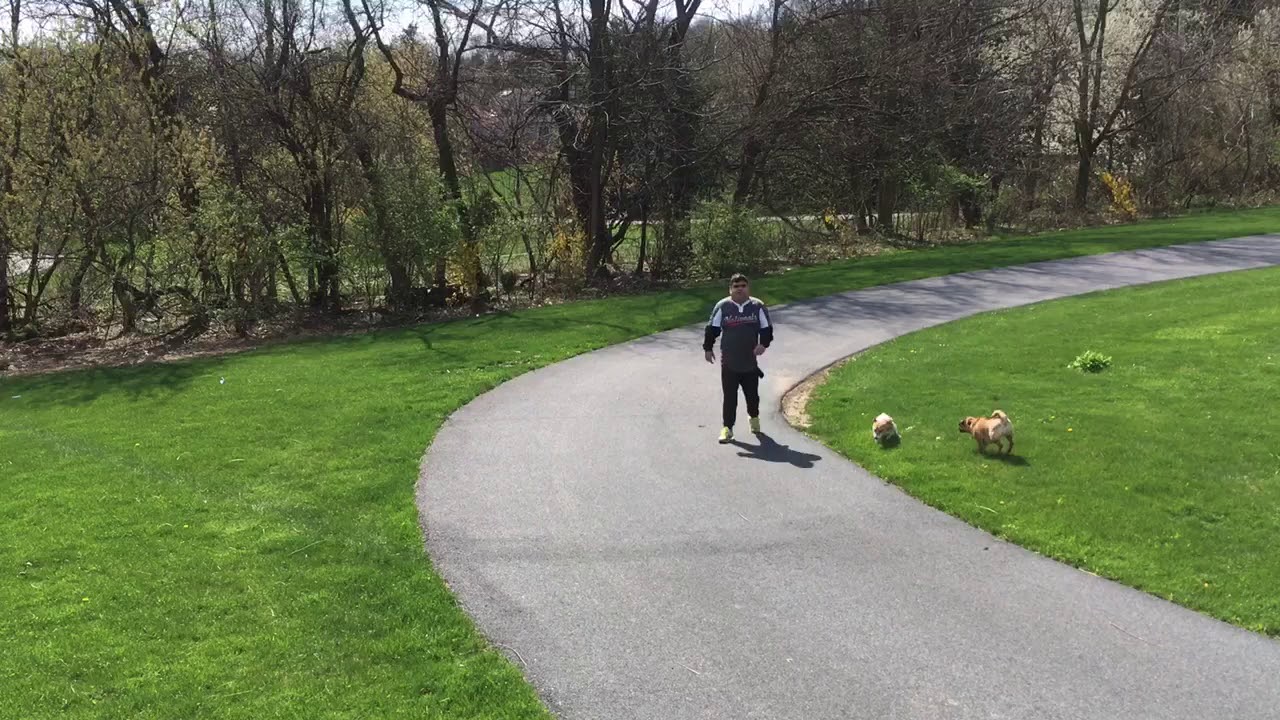 Clean up after a spring storm 2