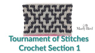 Tournament of Stitches Crochet Section 1  ||  Right Handed