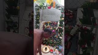 Divine &amp; Powerful Lord Hanuman Temple Pooja | Ancient Indian Rituals 🙏