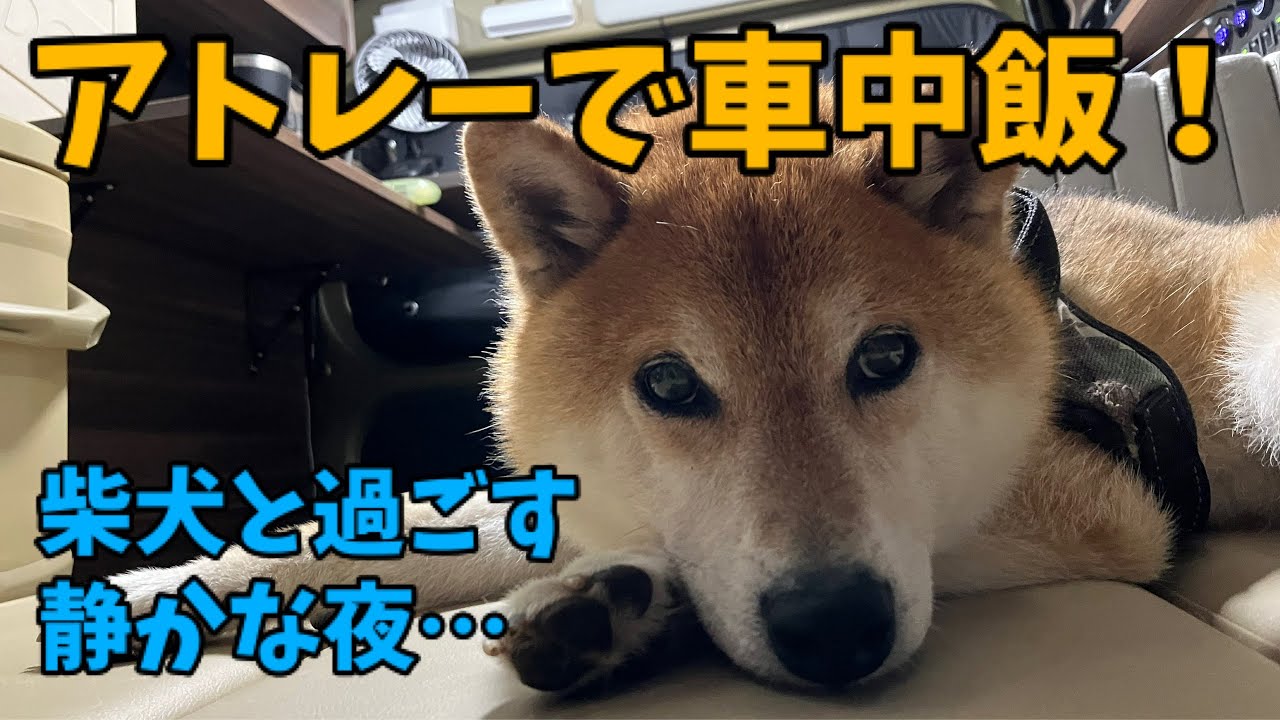 【アトレーで車中飯】柴犬と過ごす静かな車中泊の夜…