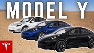 Model Y: Standard vs Long Range vs Performance