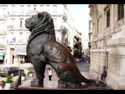 مواطنو وهران الأحرار يطردون الزواف بعدما وجدوهم دنسو تمثال الأمير عبد القادر وكتبو عليه تحيا معطوب