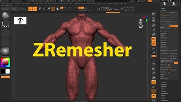 Học Cùng Master Zbrush - ZRemesher #zbrush