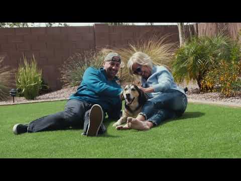 Barry Goldstein Ambiology Pet Waves : Relaxing Music for Dogs