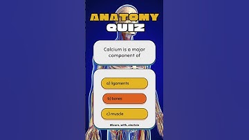 Anatomy Quiz Time #3 #quiz #quiztime #quizgame #anatomy #Einstein #trivia #trivia #games #challenge