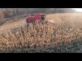 My Type of Farming - Train Tracks - Solid Classic Running Combine - CASE IH 1666 - Harvest 2020