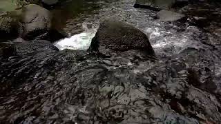 clean water river in the world ,clear river construction flowood ms ,clear creek river flow