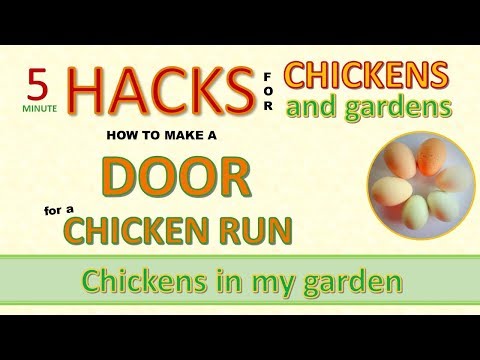 How to make a door for your chicken run