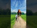 Big Dinosaur Chase T Rex Chasingpart 319 Shorts Dinosaur Youtube Dino Saurs Youtubeshorts Funny 