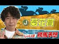 【競馬】菊花賞でのじゃいの思考【勝ち馬予想】